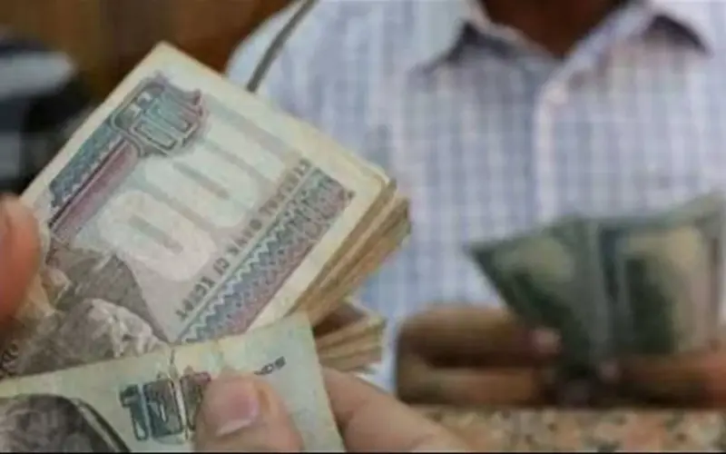 ضوابط استحقاق الزيادة وخطوات الاستعلام الإلكتروني بالرقم القومي